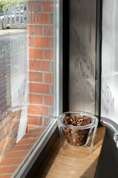 A flower pot is filled with soil, but without the intended orchid. It stands on a window sill in the sun.